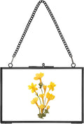 REDHUGO Hanging Pressed Flower Frame Handmade, Double Glass Picture Frame by REDHUGO
