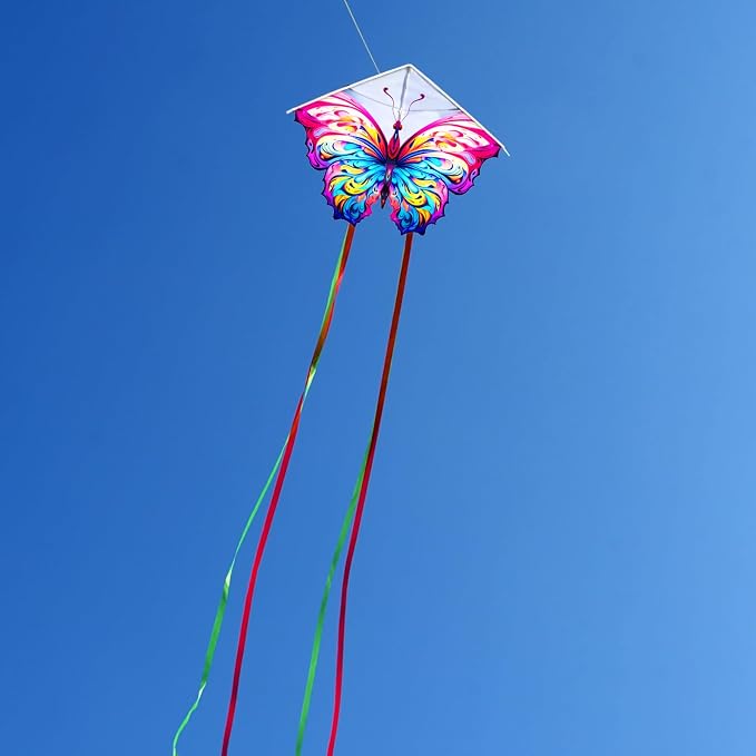 HENGDA KITE 2 Pack Butterfly Kite, - Image 5