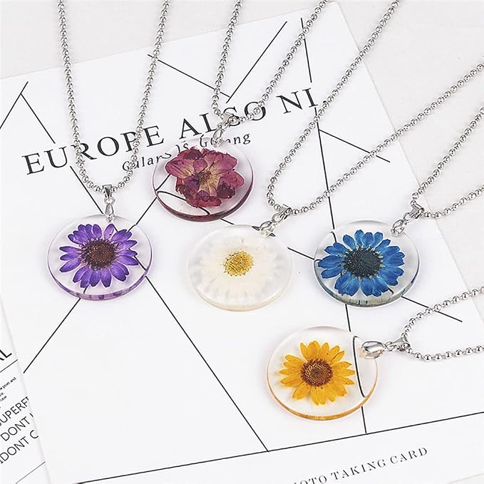 Natural Dried Daisy Flower, Vacuum Packaging, Pressed Flower - Image 5