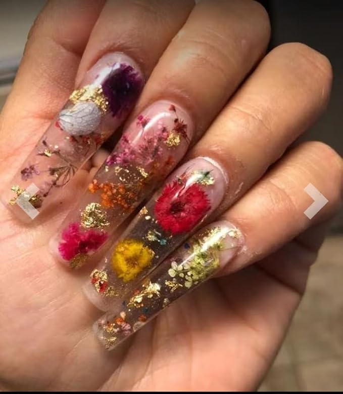 301Pcs Multi-Style Dried Pressed Flowers & Leaves - Image 9