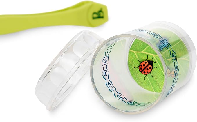 B. toys Bug Bungalow Bug Catching Kit - Image 8