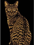 OJTOYART Cat Diamond Art Kits for Adults, 5D Animals Diamond Painting Kits for by Unknown