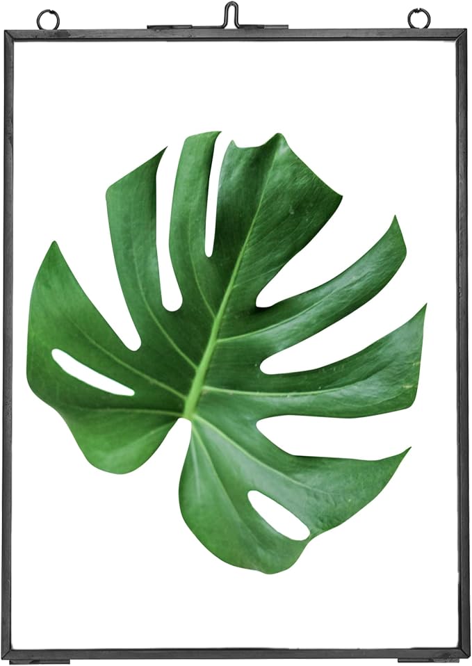 REDHUGO Hanging Pressed Flower Frames, Double Glass Floating Picture Frame - Image 9