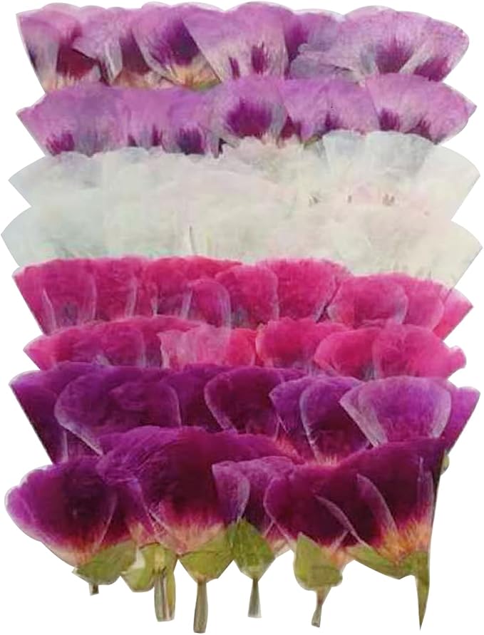 48 Pcs Dried Pressed Flowers for Crafts Art Resin DIY Natural Dry Floral Epoxy by TopFunny