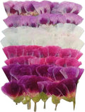 48 Pcs Dried Pressed Flowers for Crafts Art Resin DIY Natural Dry Floral Epoxy by TopFunny