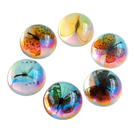 Real Butterfly Specimens, Resin Insect Specimens, Educational Bugs Specimen Set - Image 7