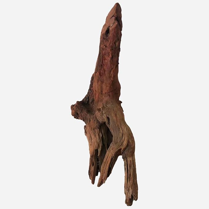 LYPHARD AQUARIUMS Natural Driftwood - Image 3