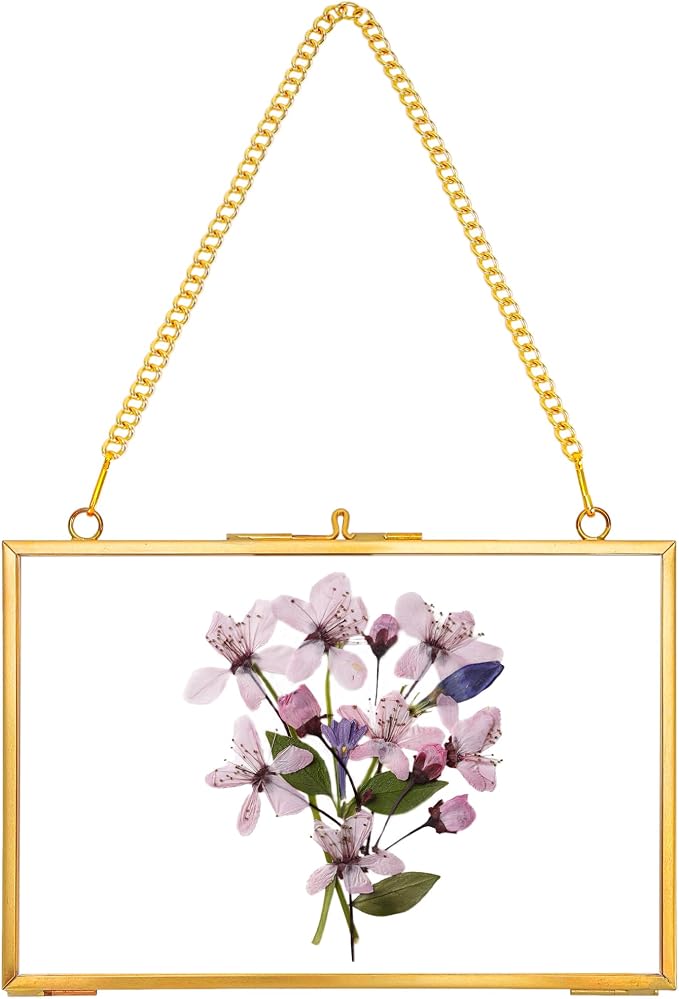REDHUGO Hanging Pressed Flower Frame Handmade, Double Glass Picture Frame by REDHUGO