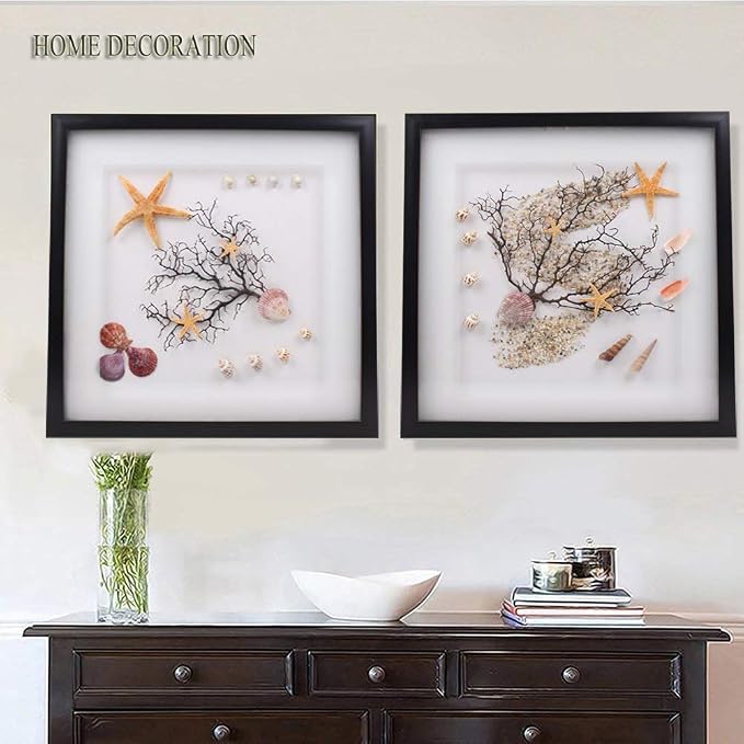 Sea Shells Mixed Beach Seashells 9 Kinds 1.2"-3.5 "Various Sizes Natural - Image 5