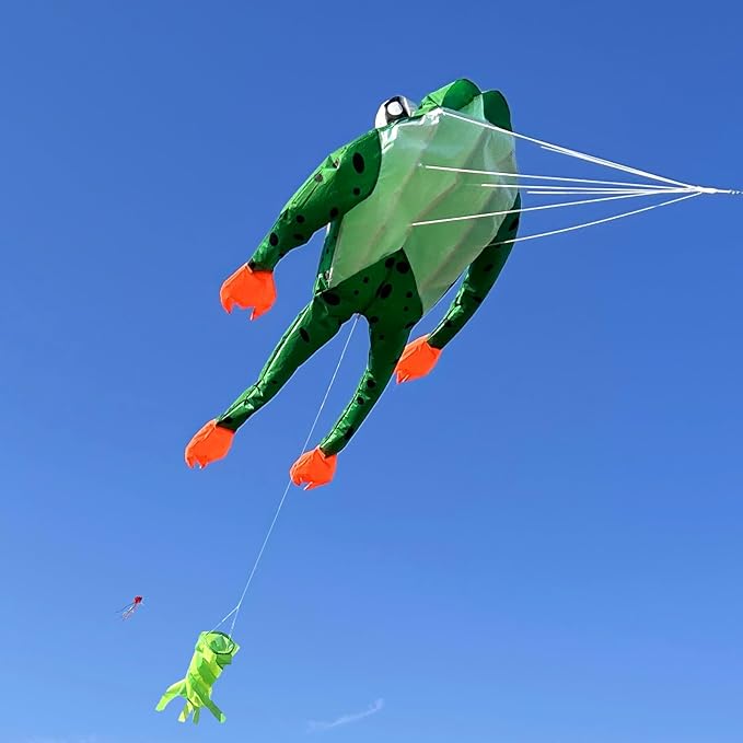 HENGDA KITE 3D Frog Kite for Kids and Adults, Excellent Fabric and Structure - Image 3