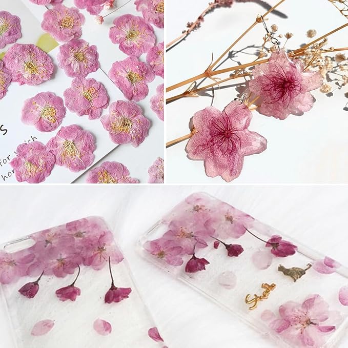 51 Pcs Real Natural Cherry Blossom Dried Pressed Flowers - Image 4