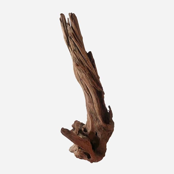 LYPHARD AQUARIUMS Natural Driftwood - Image 3