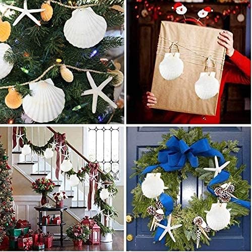 SEAJIAYI 10 PCS Large Scallop Shells 4-5 inch Natural White Scallop Shells from - Image 4