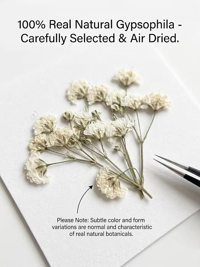 100Pcs Mini Dried Pressed White Baby's Breath Flowers Bulk - Image 4