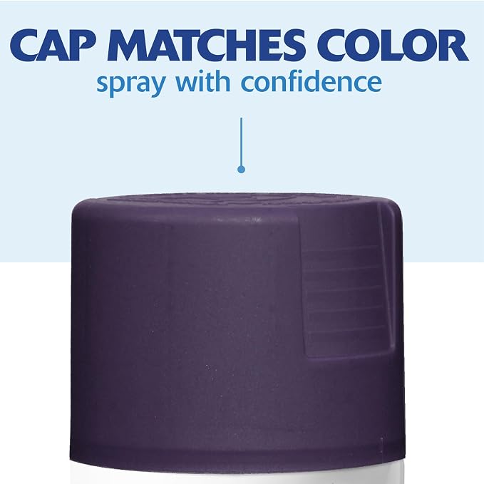 Rust-Oleum Painter's Touch 2X Ultra Cover Spray Paint, Satin Deep Purple | - Image 7