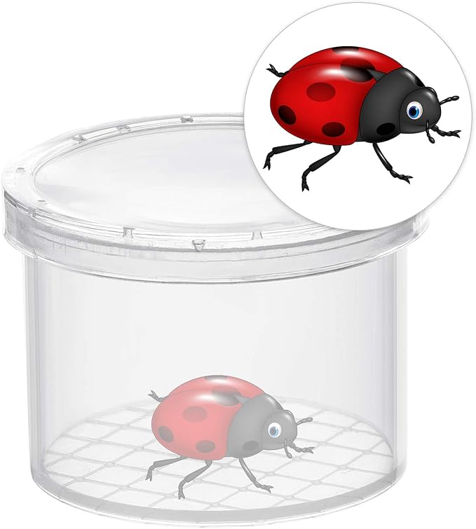 Coopay 16 Pieces Bug Viewer Critter Insect Cage Magnifying Insect Box Bug - Image 3