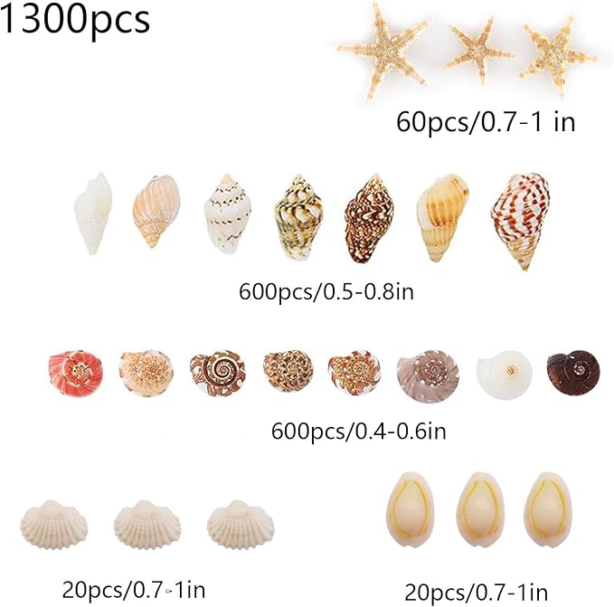 1300 PCS Small Seashells for Crafts, Tiny Mixed Sea Shells - Image 2