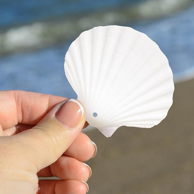 24Pcs Scallop Shells White Natural Seashell 2"-3" Perforation Scallop Shells - Image 6
