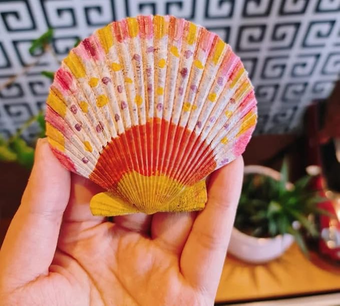 Colorful 50+ Pcs Scallop Shell Natural Mixed Color Seashells - Image 5