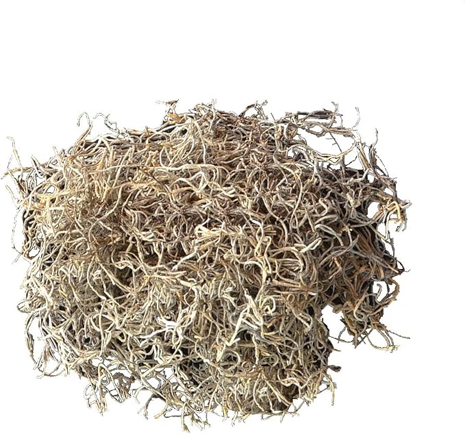 Mosser Lee ML0560 Spanish Moss, 250 Cubic Inches - Image 3