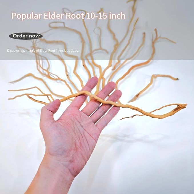 Azil Natural Aquarium Driftwood Root – Driftwood - Image 8