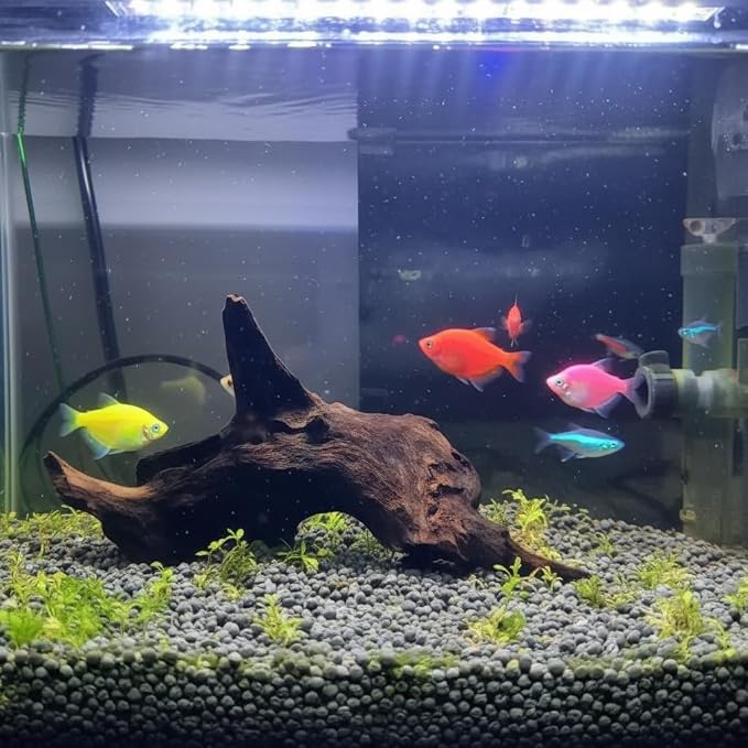 emours Aquarium Driftwood Fish Tank Decoration Varies Shape and Size - Image 3
