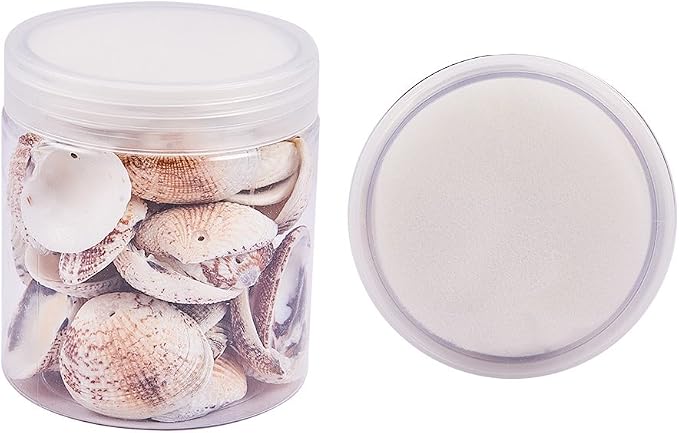 PH PandaHall 40~50pcs Tiny Scallop Sea Shells 24~29mm Ocean Beach Clam Craft - Image 7