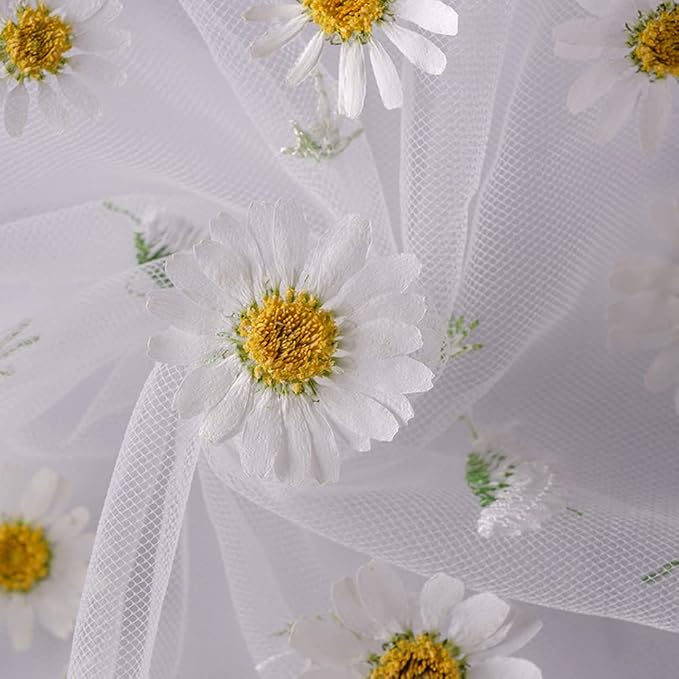 50pcs Natural Dried Daisy Flower, Vacuum Packaging, Pressed Flower - Image 4