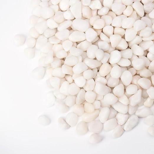 Pulovin 5 lbs White Pebbles for Vases, 3/8" Small Plant Rocks for Pots Indoor by GardenSteward