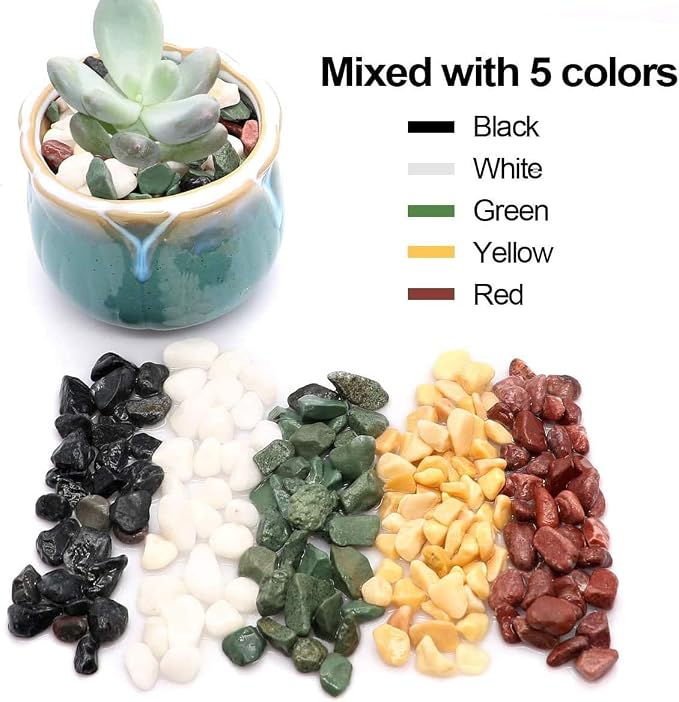 TOYPOPOR 6LB Succulent and Cactus Gravel Pebbles, 1/5 Inch Natural Decorative - Image 3