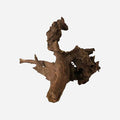 LYPHARD AQUARIUMS Natural Driftwood by LYPHARDAQUARIUMS