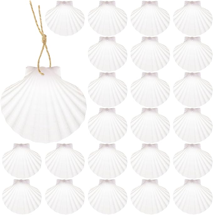24Pcs Scallop Shells White Natural Seashell 2"-3" Perforation Scallop Shells by Unknown