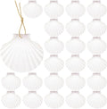 24Pcs Scallop Shells White Natural Seashell 2"-3" Perforation Scallop Shells by Unknown