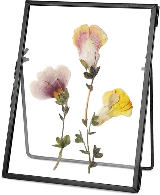 REDHUGO Glass Pressed Flower Frame Handmade, Floating Picture Frames by REDHUGO