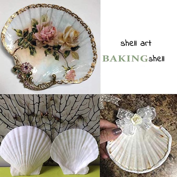 SEAJIAYI 6PCS Scallop Shells for Serving Food, Baking Shells Large Natural - Image 7