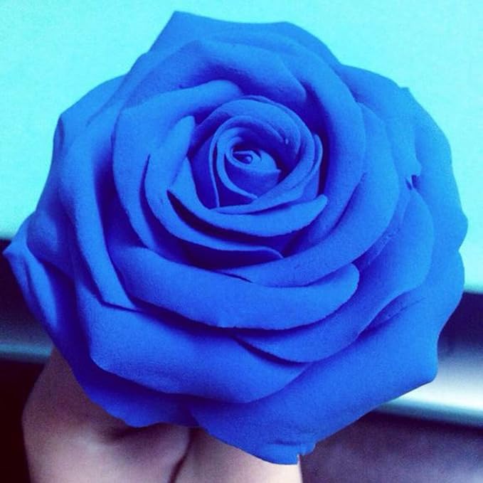 BOHS Blue Modeling Foam Clay - Image 3