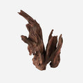 LYPHARD AQUARIUMS Natural Driftwood by LYPHARDAQUARIUMS