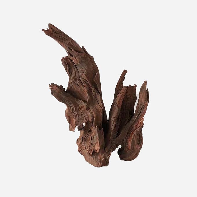 LYPHARD AQUARIUMS Natural Driftwood by LYPHARDAQUARIUMS