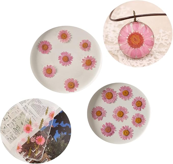 50pcs Natural Dried Daisy Flower, Vacuum Packaging, Pressed Flower - Image 3