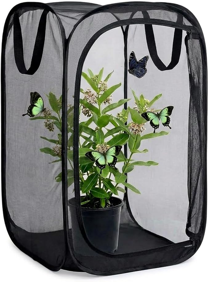 Insect & Butterfly Habitat Cage, Portable Pop-Up Terrarium by Unknown
