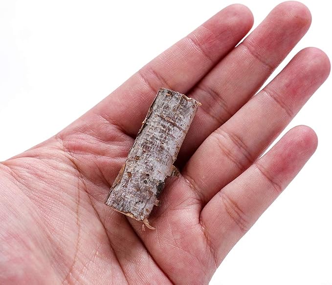Craft Sticks, Mini Wood Log for Rustic Home Decor - Image 5