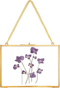REDHUGO Hanging Pressed Flower Frame Handmade, Double Glass Picture Frame by REDHUGO