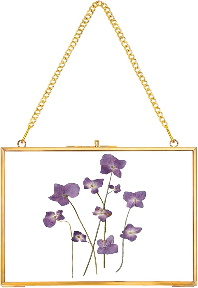 REDHUGO Hanging Pressed Flower Frame Handmade, Double Glass Picture Frame by REDHUGO