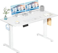 DUMOS 55 Inch Electric Standing Desk Height Adjustable, Sit to Stand Computer by DumosLifestyle