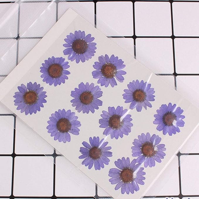50pcs Natural Dried Daisy Flower, Vacuum Packaging, Pressed Flower - Image 2
