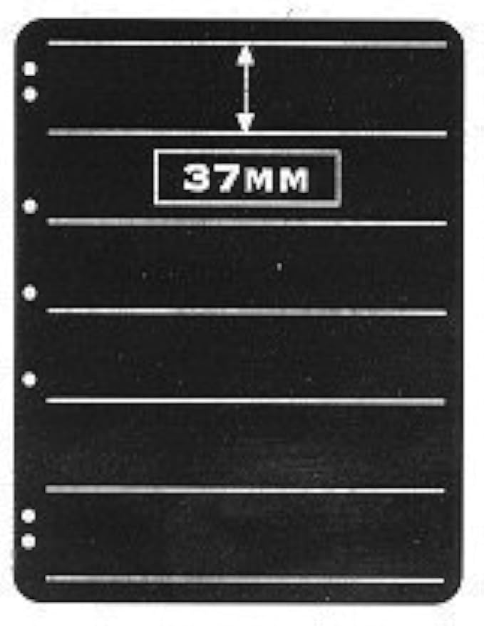 Hagner 6 Pocket Stamp Stock Page by Unknown