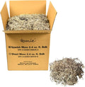 Mosser Lee Spanish Moss – Natural Decorative Moss by MosserLee