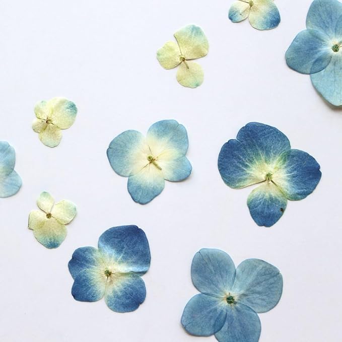48 Pcs Dried Pressed Flowers for Resin DIY Art Crafts Natural Dry Hydrangea - Image 5