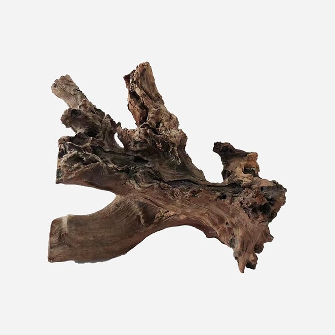 LYPHARD AQUARIUMS Natural Driftwood by LYPHARDAQUARIUMS