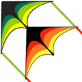 Mint's Colorful Life Delta Kite by MintsColorfulLife